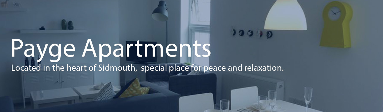 Payge apartments banner.full